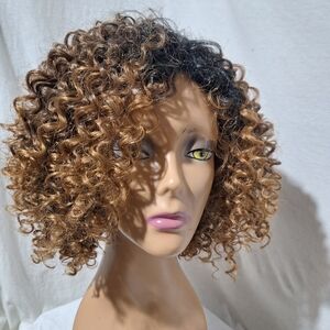 Curly Ombre Brown Wig